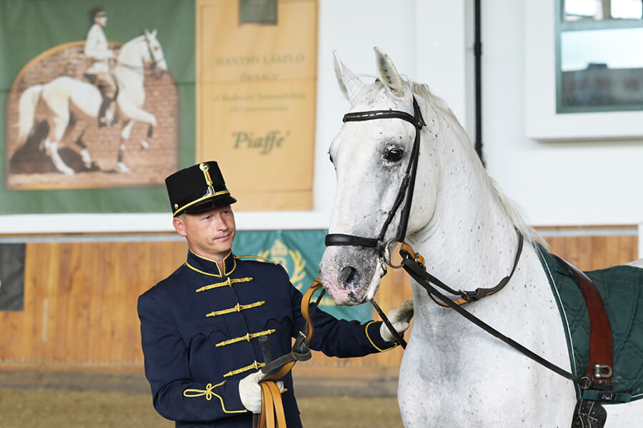 LIHS-2025-Displays2