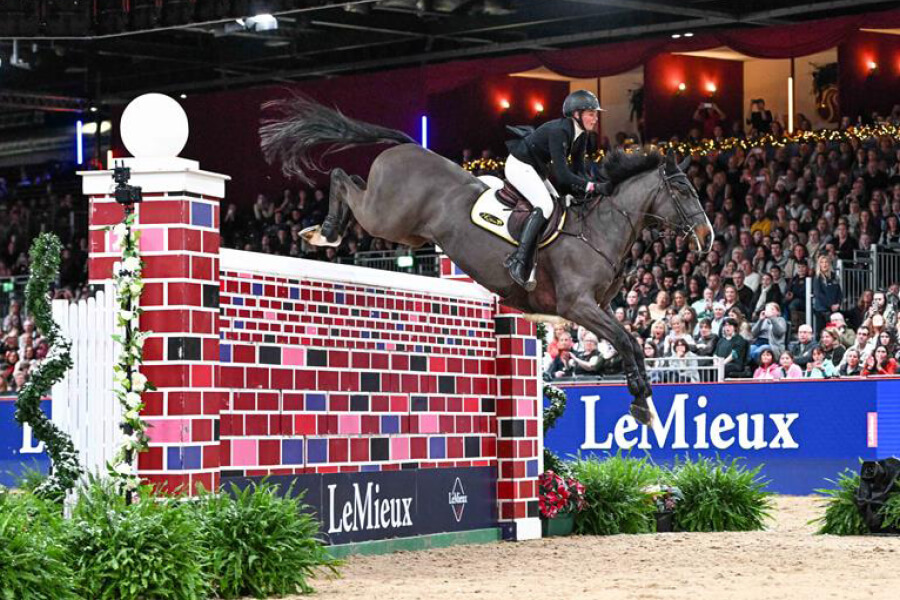 LIHS-2025-Masterclass4