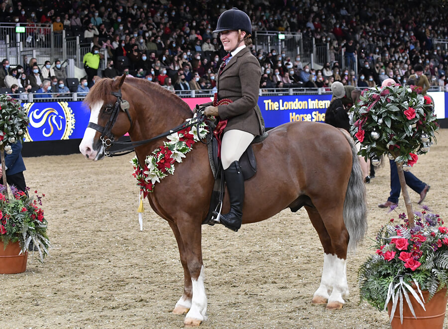 Showing Series - BSPS - at London International Horse Show