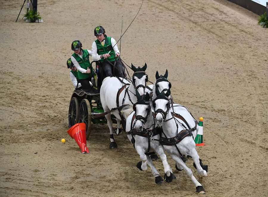 International Horse Driving