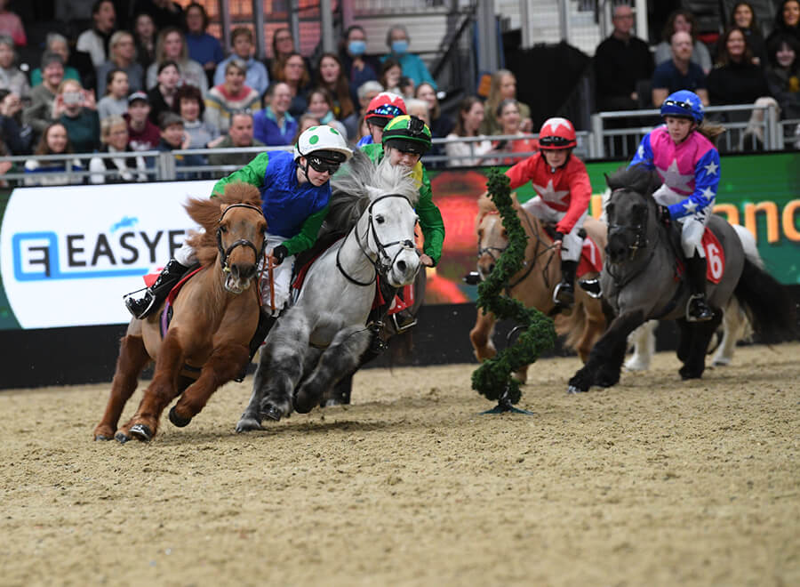 Shetland Pony Grand National at London International Horse Show