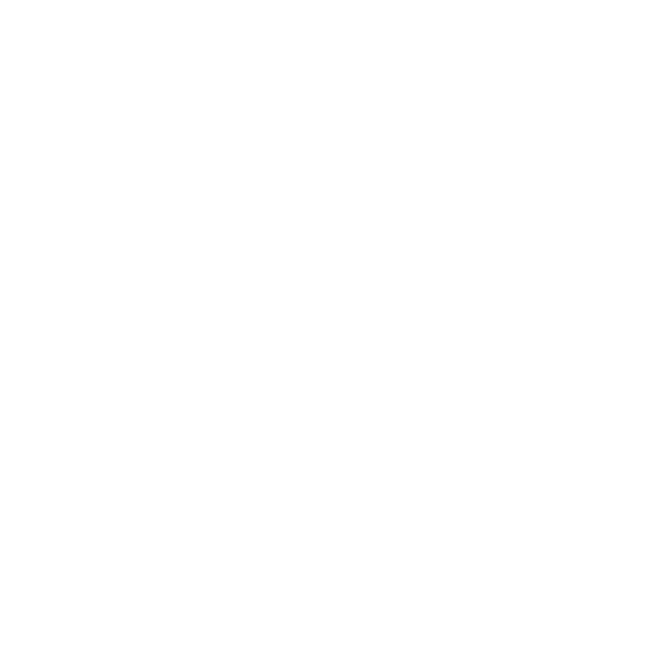 Turkish Airlines white logo