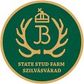 2024-06-10_State-Stud-Farm-Szilvásvárad-logo---2-colors_2000px_RGB (1)