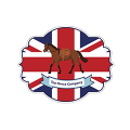 Company-logo-for-Toy-horse-company.jpeg Company-logo-for-Toy-horse-company.jpeg
