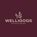 Company-logo-for-welligogs