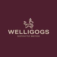 Company-logo-for-welligogs