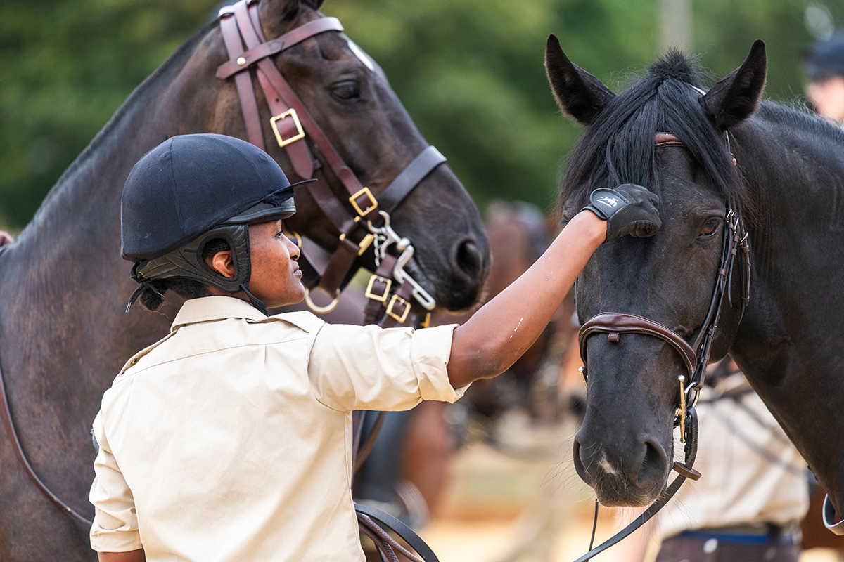 patting-horse-kings-troop-royal-horse-artillery-london-horse-show